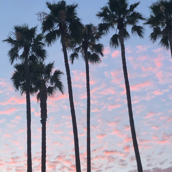 Meet your Posher, Bailey - Picture 1 of 1